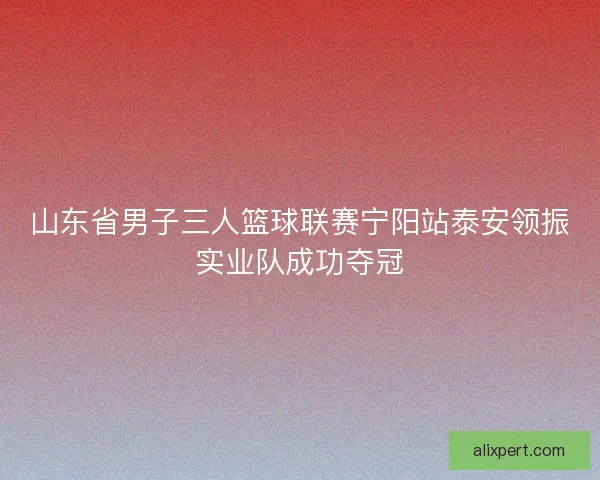 山东省男子三人篮球联赛宁阳站泰安领振实业队成功夺冠